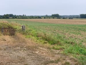Randonnée autour de Maulde - Maulde - 2