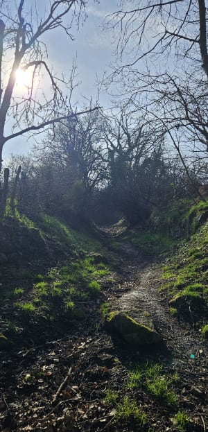 Rando bucolique autour de Montagny - Montagny - 9