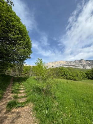 Découverte de la Tourbière de Peuil et sa magie perpétuelle - Claix - 8