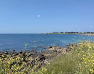 Plages de Kersidan, Trévignon et Saint-Philibert - Trégunc - 18