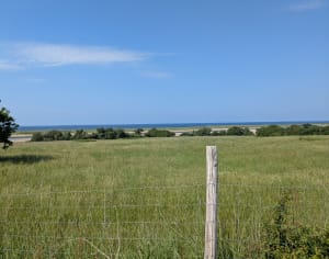 Plages de Kersidan, Trévignon et Saint-Philibert - Trégunc - 19