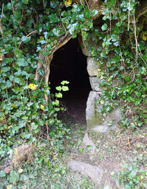 Nez de Jobourg, falaises et bocages normands - Jobourg - 24