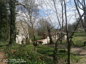 Des Andrivaux à Merlande - Chancelade - 7