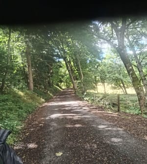 Geweldige wandeling naar Suc de Saussac - Yssingeaux - 5