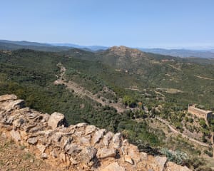 Rots van Mallorca - Castelnou - 27