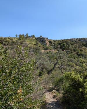 Rots van Mallorca - Castelnou - 28