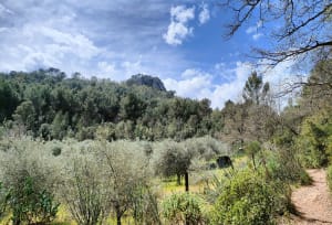Sources de l'Huveaune - Nans-les-Pins - 54