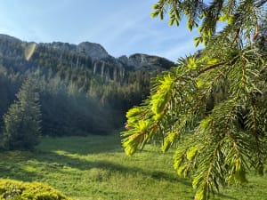 Kalatówki – idealna polana dla rodzin z dziećmi - Zakopane - 2