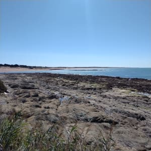 Le tour de la corniche de Bretignolles-sur-Mer - Bretignolles-sur-Mer - 17