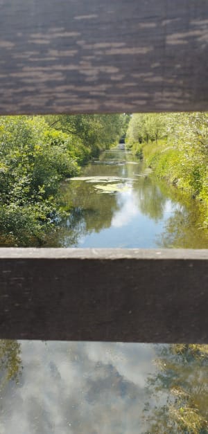 La promenade du Marais de Fretin, par le Bois des Enclos - Fretin - 29