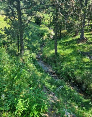 Egat - Font-Romeu - 18