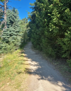 Egat - Font-Romeu - 20