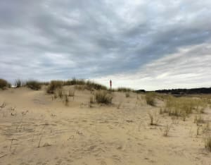 Phare de la coubre - La Tremblade - 18