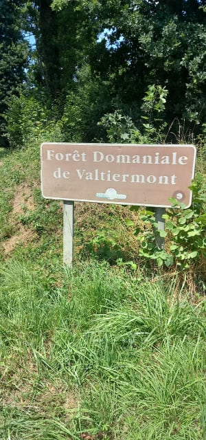 Boucle en forêt au chant des oiseaux et domaine Saint-Antoine - Sommelonne - 6