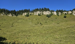 Prise de hauteur à Charande et mille massifs - Autrans-Méaudre en Vercors - 9