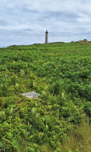 Grand tour de l'île de Batz et beauté de ses plages - Île de Batz - 60