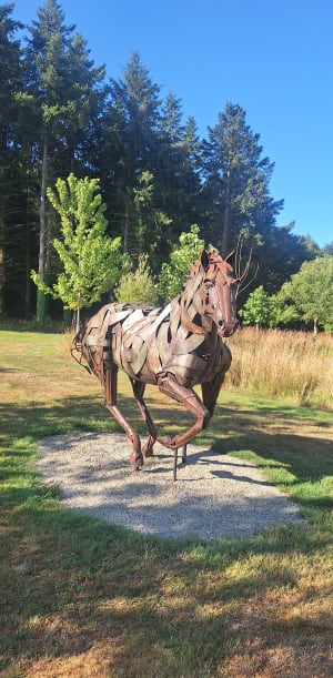 Petite balade du soir dans le Parc du Château des Pères - Piré-Chancé - 3