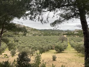 Boucle de l'Oppidum des caisses de Jean Jean - Mouriès - 16
