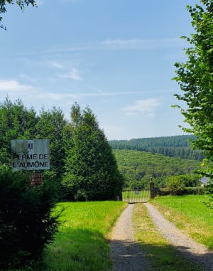 Balade en forêt d’Ecouves - La Lande-de-Goult - 2