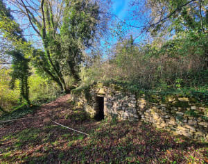Tamniès et l'observation des oiseaux de la campagne - Tamniès - 11