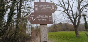 Sortie à partir du golf de Thumeries - Thumeries - 9