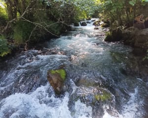 Entre torrent et cascade à Beaudean - Beaudean - 35