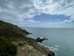 Nez de Jobourg, falaises et bocages normands - Jobourg - 66