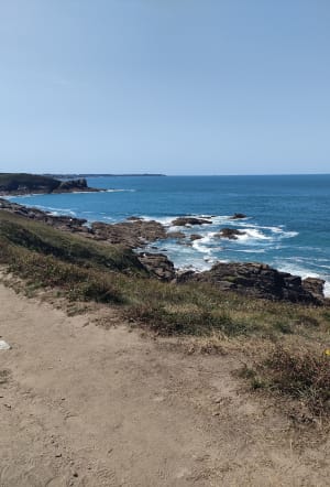 Sortie avec belle vue sur la Lande - MARIE - 3