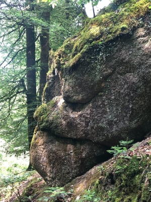 Boucle à Huelgoat la forêt - Huelgoat - 9