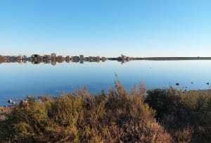 Les Aresquiers - Vic-la-Gardiole - 25