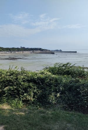 Sortie avec belle vue sur la Lande - Le Verger - 2
