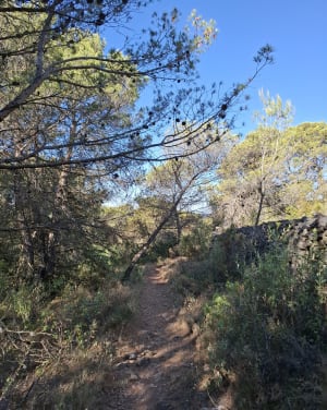 Ascension du Roc du Moussu et trésor de marbre rouge - Caunes-Minervois - 3