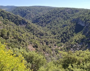 Ascension du Roc du Moussu et trésor de marbre rouge - Caunes-Minervois - 5
