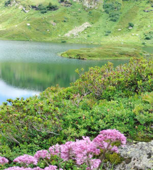 Lac de Pormenaz depuis le Lac Vert et magie des falaises des Fiz - Passy Plaine Joux - 7