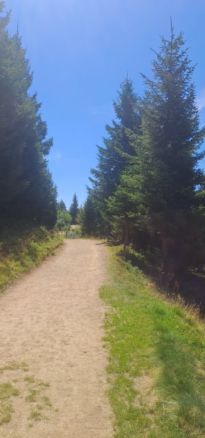 Plateau de Beauregard - Manigod - 4