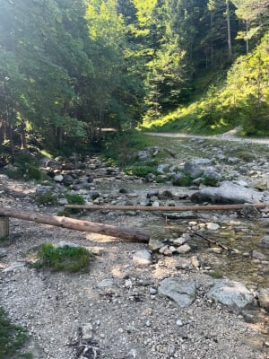 Villard-de Lans, Pont de l'Amour et marche nordique - Villard-de-Lans - 6