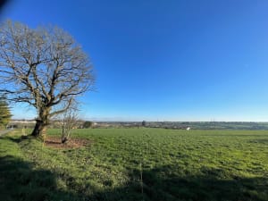 La petite Roche Baraton à Beaupréau-en-Mauges - Beaupréau-en-Mauges - 6