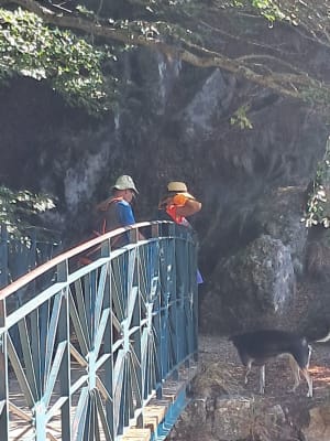 Excursie naar de Orgon-watervallen via Pierre Plantée - Arphy - 2