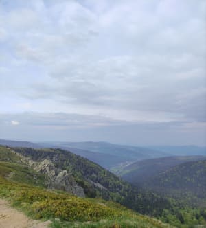 Route des crêtes et le sommet du Hohneck - Marie - 24