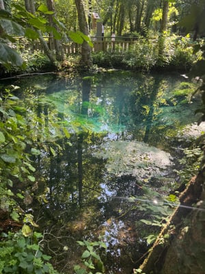 Parc de la Bouvaque - Abbeville - 7