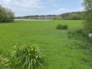 De la cité verte au Lac d'Agès par le sentier du Louts - Franck - 4