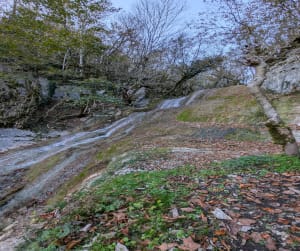 Boucle forestière à la Cascade de la Pèle - Cernon - 6