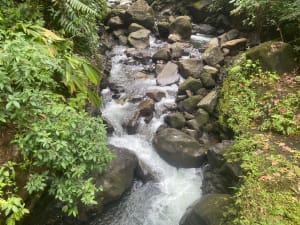 La 2eme chute du Carbet - Capesterre-Belle-Eau - 7