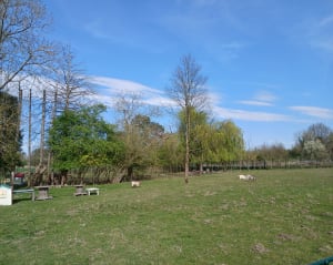 Parcours des 3 lavoirs de Perthes - Perthes - 8