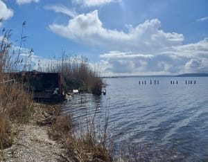 La petite Camargue à St Chamas - Audrey - 12