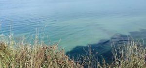 Wandeltocht langs de kust en de Aiguille de Belval - Bénouville - 55