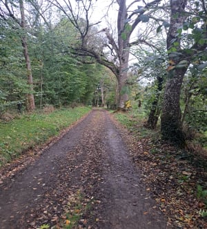 Petite balade à Rouvrou - Ménil-Hubert-sur-Orne - 5