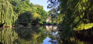 En ville, de parc en parc à Rennes - Rennes - 14