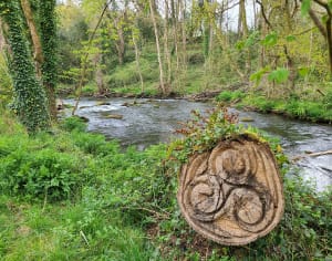 Balade le long du canal de la papeterie à Lestonan - Ergué-Gabéric - 8