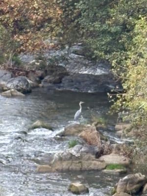 Au fil de l'eau, le Jabron - Logan - 3